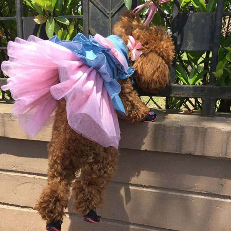 Denim Sphynx Cat Dress Skirt Summer Girl Female Pet Clothes for Cats Gotas Kitten Garfield Dresses mascotas Costume Dog Clothing