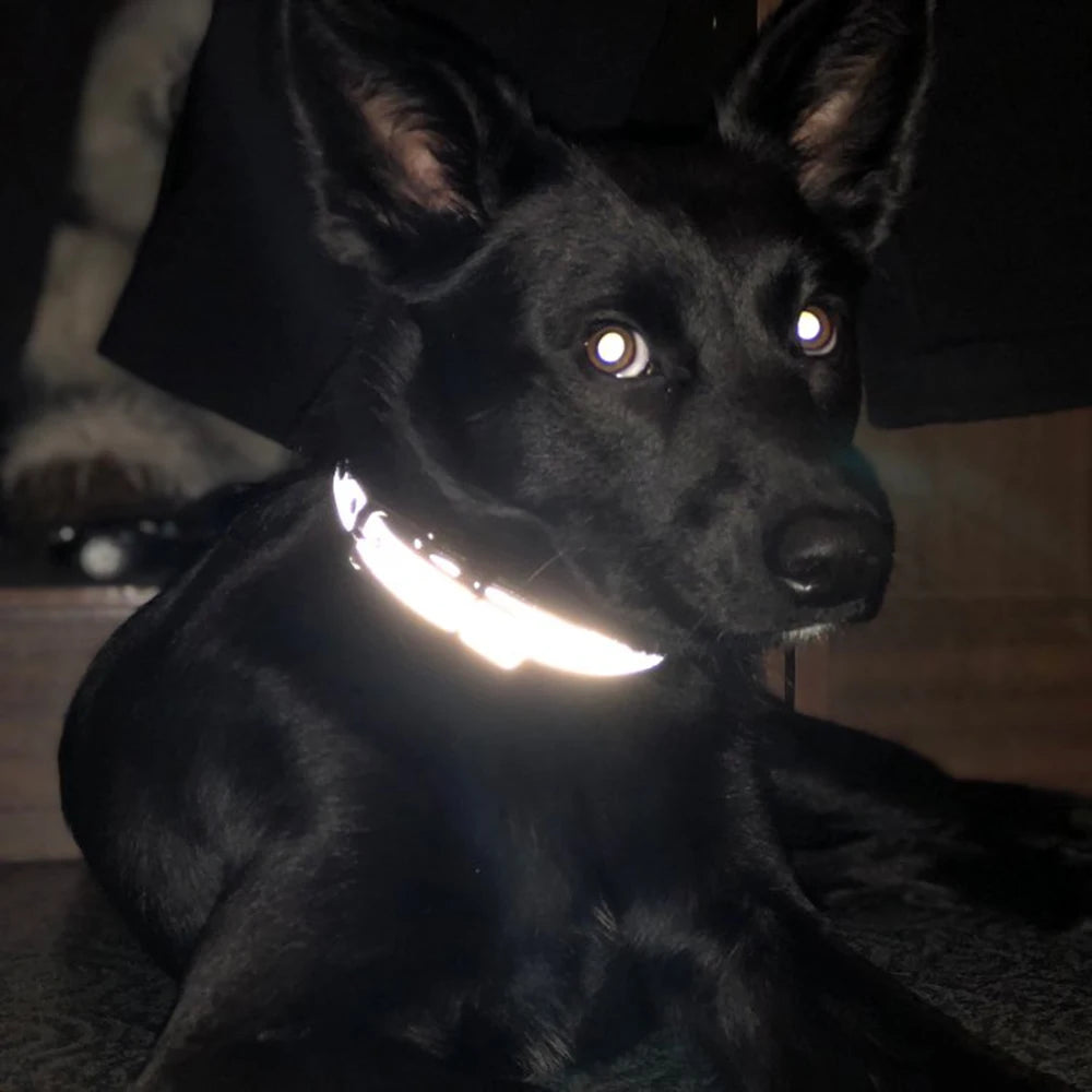 Engrave Reflective Dog Collar Custom Pet Collars Cat ID Tag For Small Medium Large Pets Name Telephone Number Chains Dogs Gift