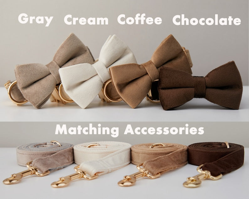 Multiple Colour Velvet Personalise Dog Collar Leash Set With Bow - Get It for Your Pets