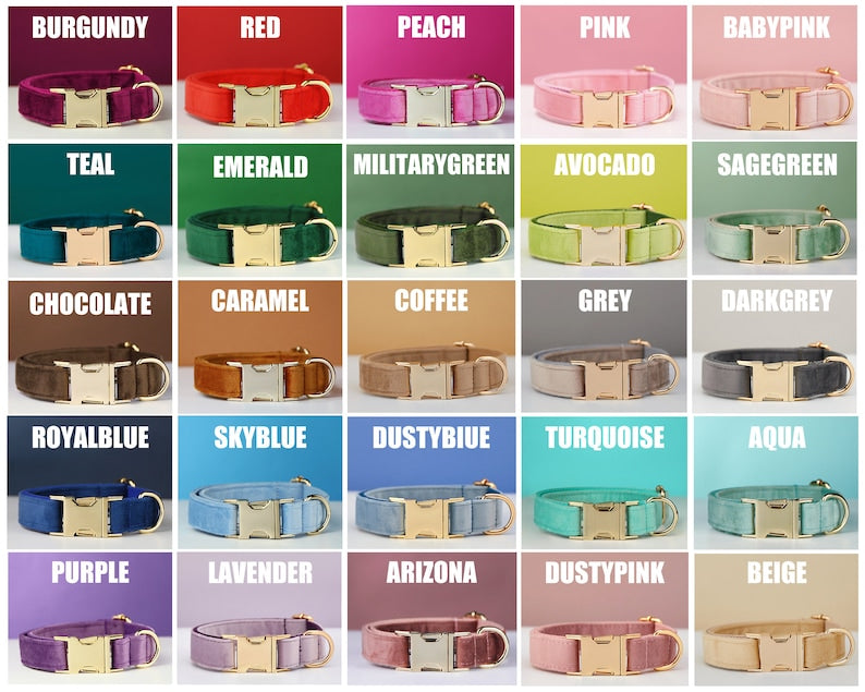 Multiple Colour Velvet Personalise Dog Collar Leash Set With Bow - Get It for Your Pets