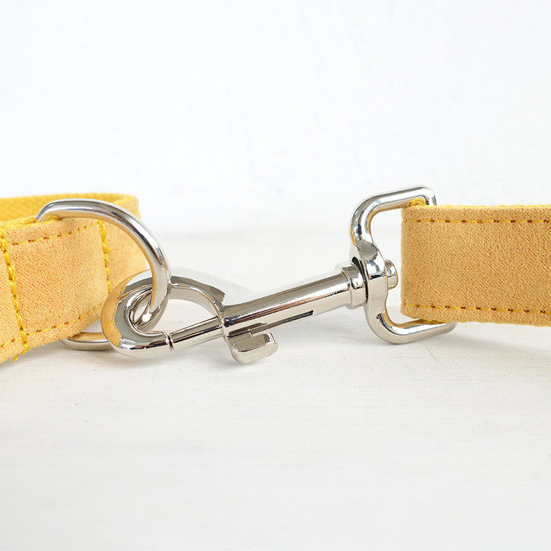 Nala pet dog collar traction rope - Get It for Your Pets - Pet Store