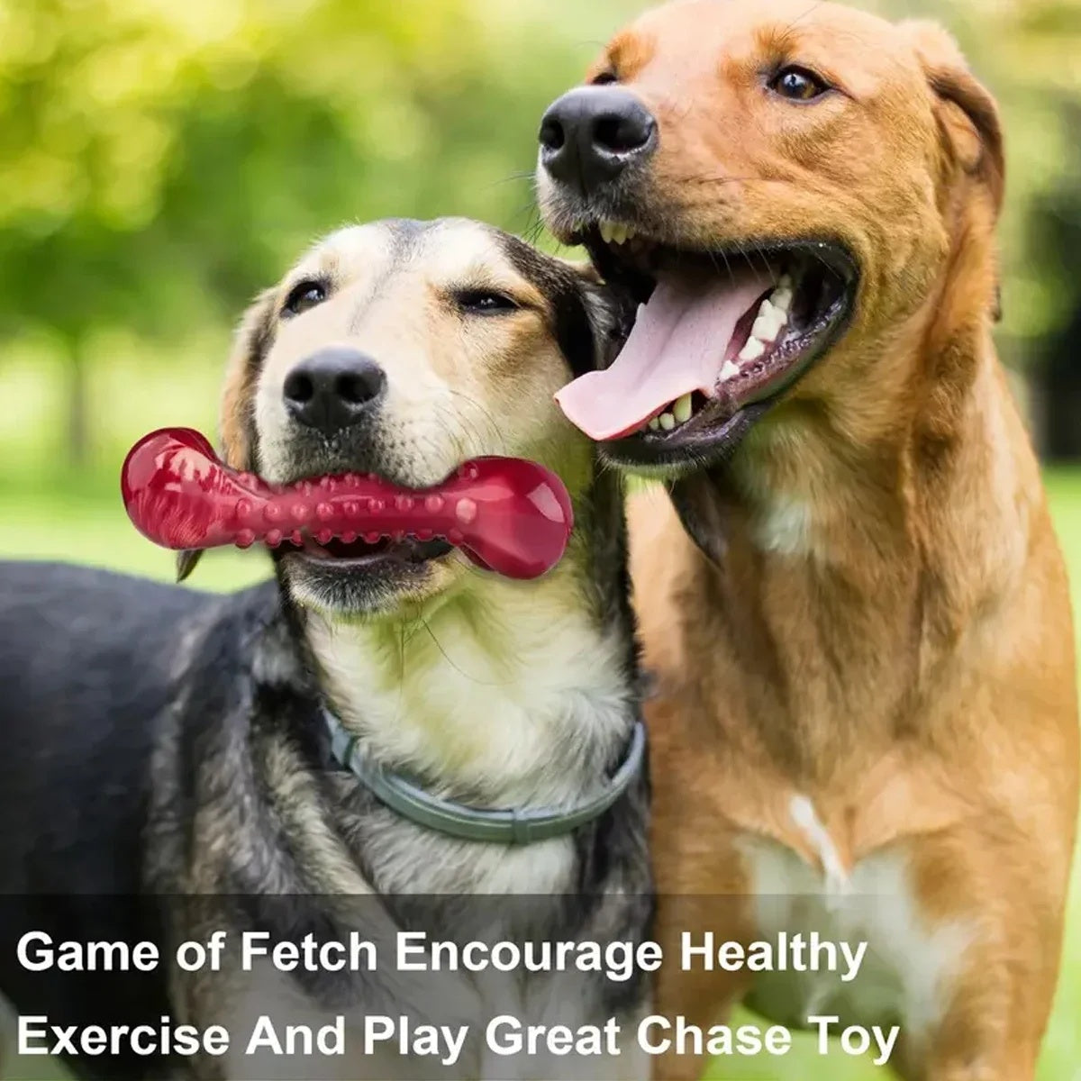Natural Rubber Chew Toy Suitable For Aggressive Dogs - Durable And Long-Lasting Suitable For Dogs Chewing Heavy Objects - Get It for Your Pets