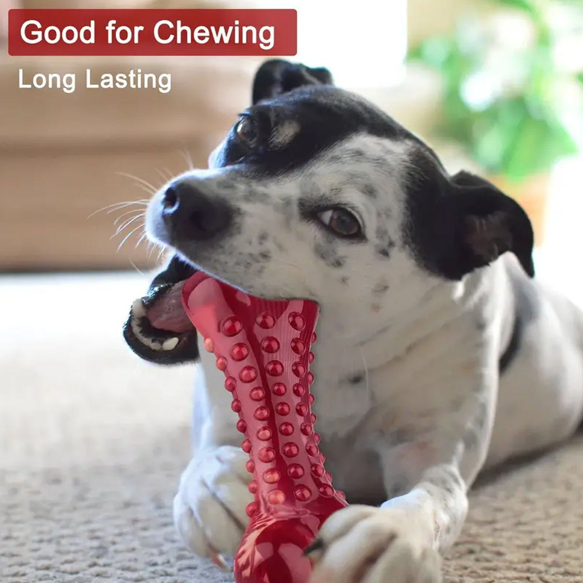 Natural Rubber Chew Toy Suitable For Aggressive Dogs - Durable And Long-Lasting Suitable For Dogs Chewing Heavy Objects - Get It for Your Pets