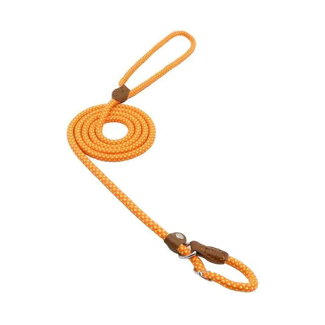 Nylon Pup Set - Get It for Your Pets