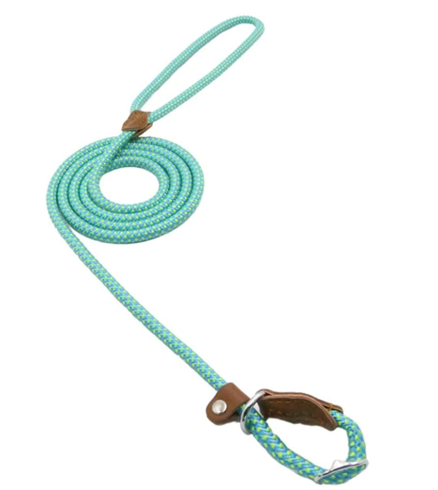 Nylon Pup Set - Get It for Your Pets