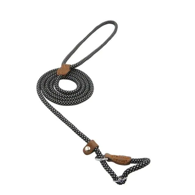 Nylon Pup Set - Get It for Your Pets