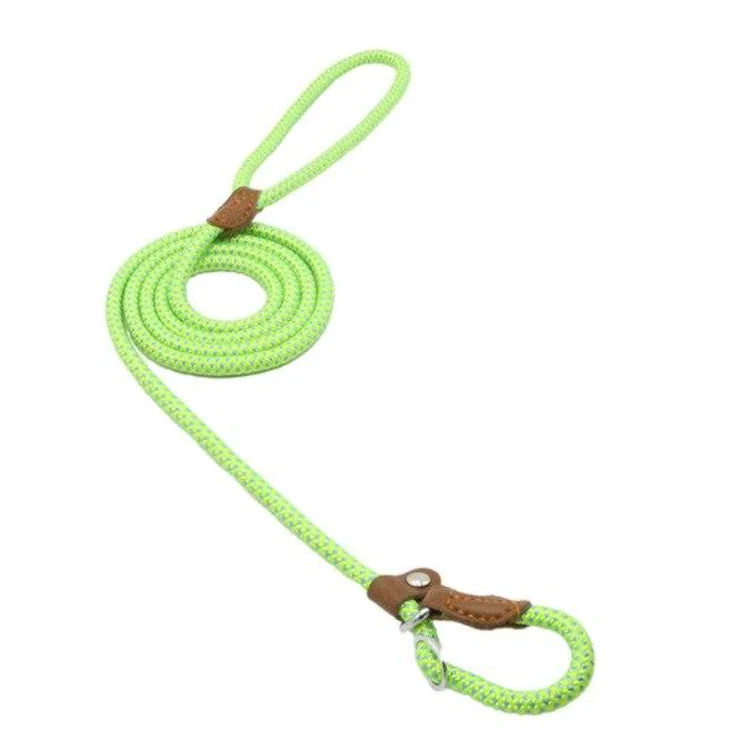 Nylon Pup Set - Get It for Your Pets