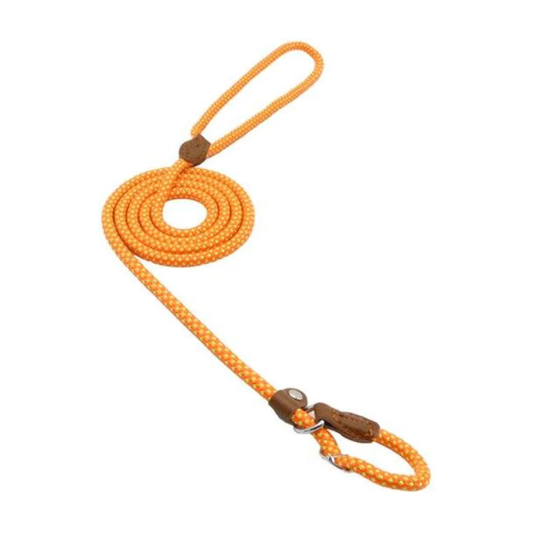 Nylon Pup Set - Get It for Your Pets
