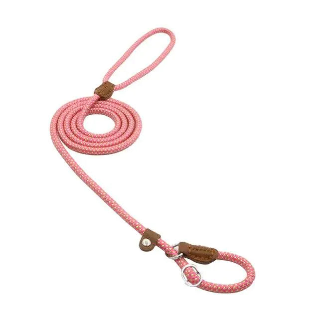Nylon Pup Set - Get It for Your Pets
