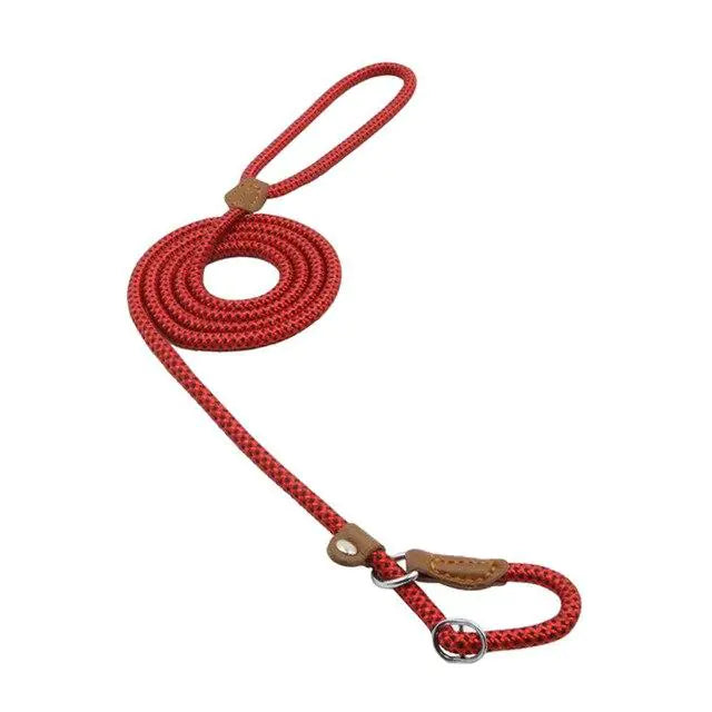 Nylon Pup Set - Get It for Your Pets