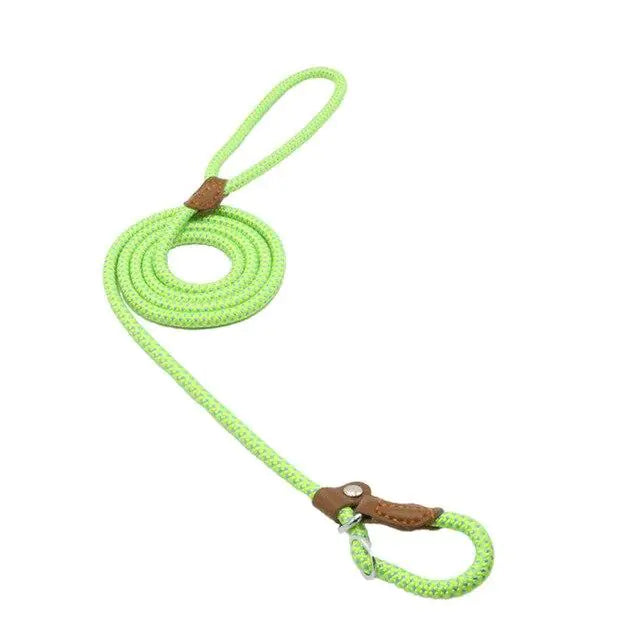Nylon Pup Set - Get It for Your Pets