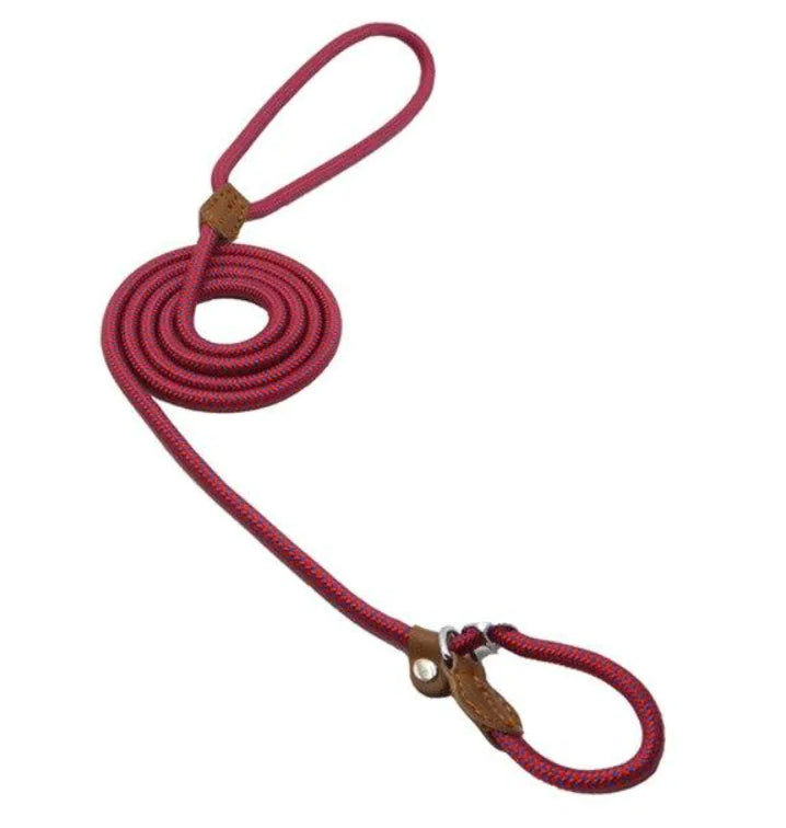 Nylon Pup Set - Get It for Your Pets