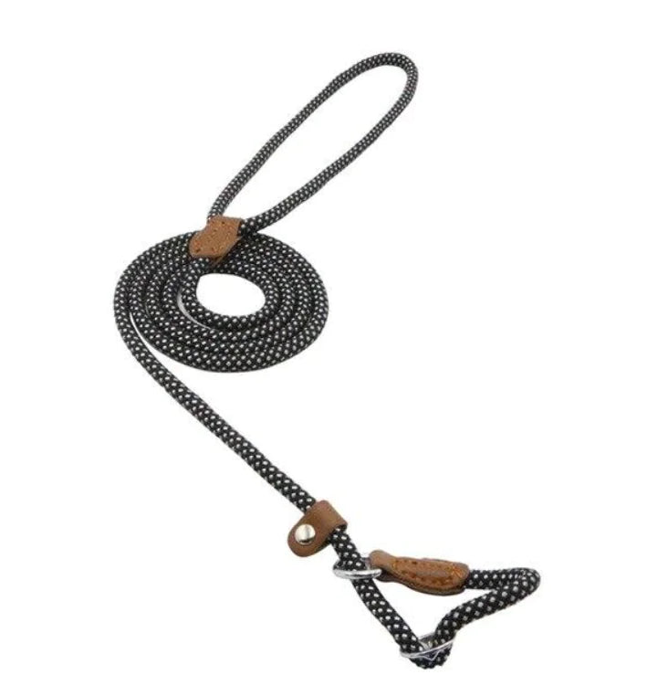 Nylon Pup Set - Get It for Your Pets