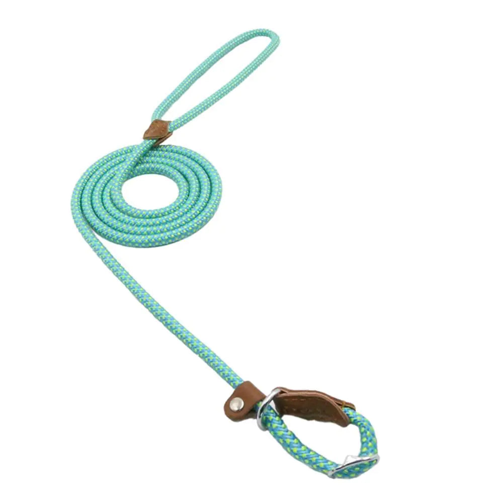 Nylon Pup Set - Get It for Your Pets