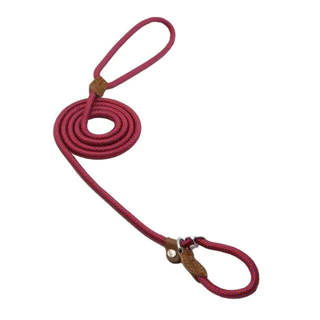 Nylon Pup Set - Get It for Your Pets