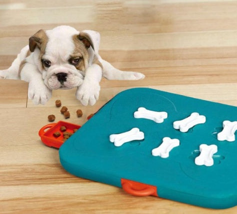 Pet Casino Treasure Hunt Puzzle Food Spill Toy - Get It for Your Pets - Pet Store