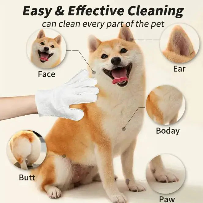 Pet Cleaning Gloves & Wipes - Get It for Your Pets