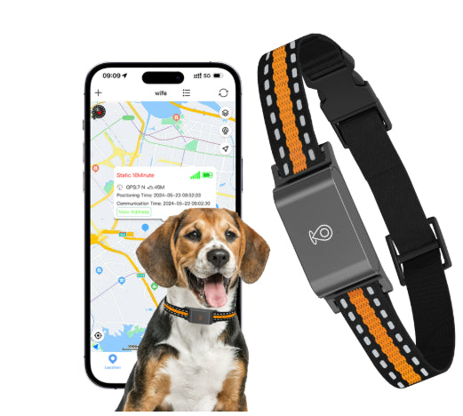 Pet Global Positioning Collar - Get It for Your Pets