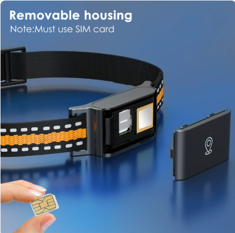 Pet Global Positioning Collar - Get It for Your Pets