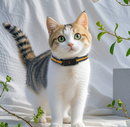 Pet Global Positioning Collar - Get It for Your Pets