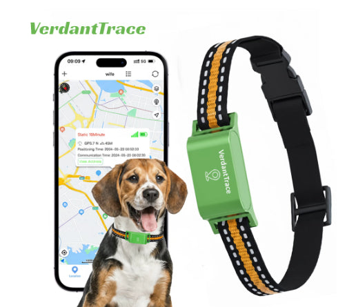 Pet Global Positioning Collar - Get It for Your Pets