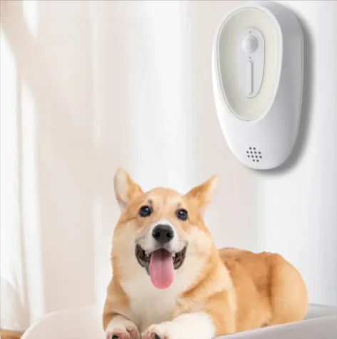 Pet Odor Eliminator for Litter Boxes - Get It for Your Pets