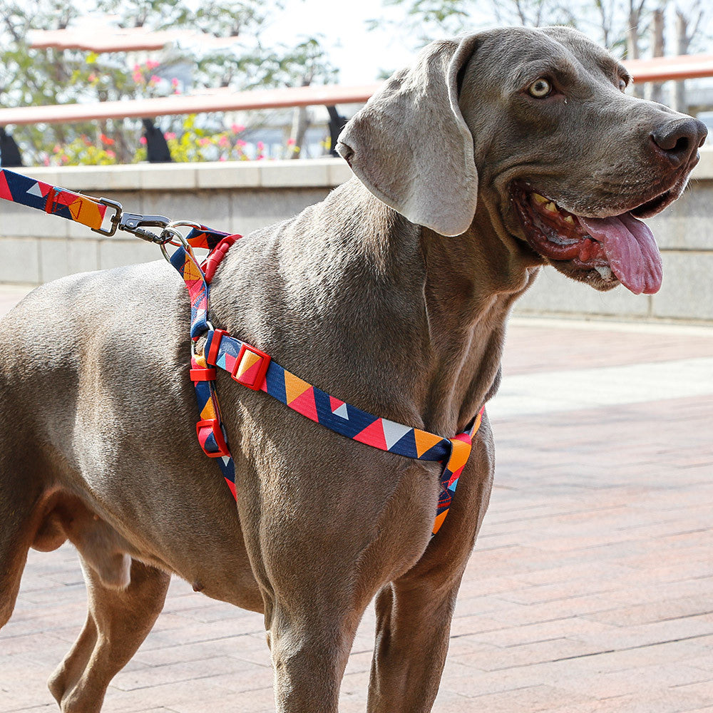 Pet leash collar - Get It for Your Pets