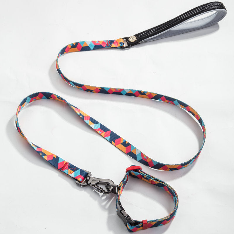Pet leash collar - Get It for Your Pets