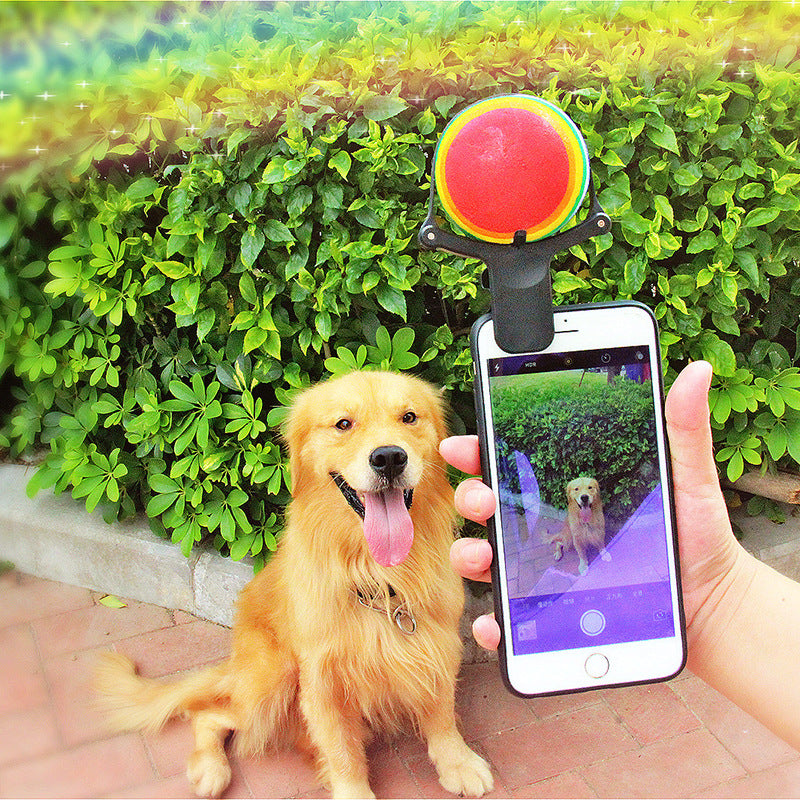 Pet photo props toy pet photo selfie artifact funny dog camera phone clip tennis selfie clip - Get It for Your Pets - Pet Store