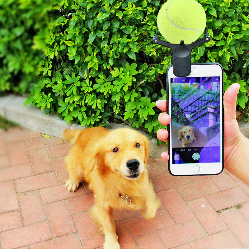 Pet photo props toy pet photo selfie artifact funny dog camera phone clip tennis selfie clip - Get It for Your Pets - Pet Store