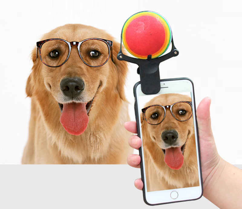 Pet photo props toy pet photo selfie artifact funny dog camera phone clip tennis selfie clip - Get It for Your Pets - Pet Store
