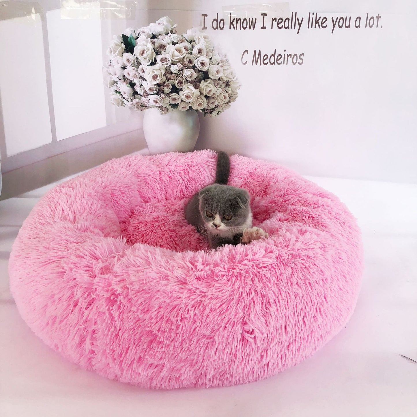 Plush pet nest - Get It for Your Pets - Pet Store