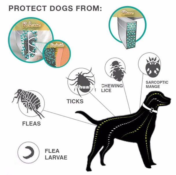 Premium Flea and Tick Collar - Get It for Your Pets