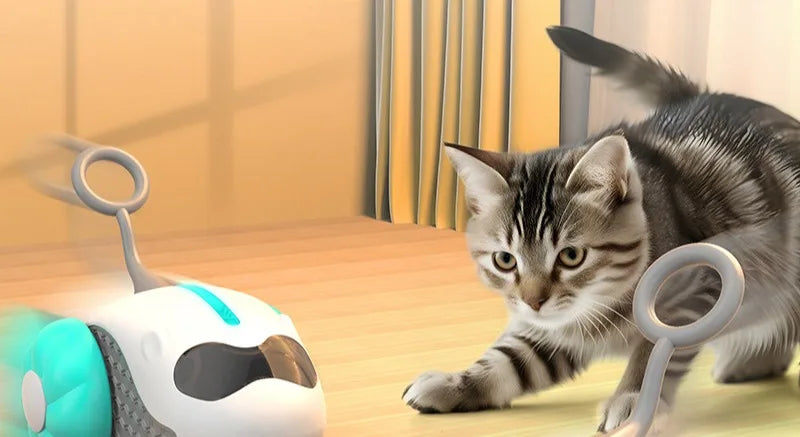 Intelligent Sports Car Electric Pet Toy Cat Remote Control Toy Car Cat/dog Interactive Game Cat Accessories Pets Kitten Supplies