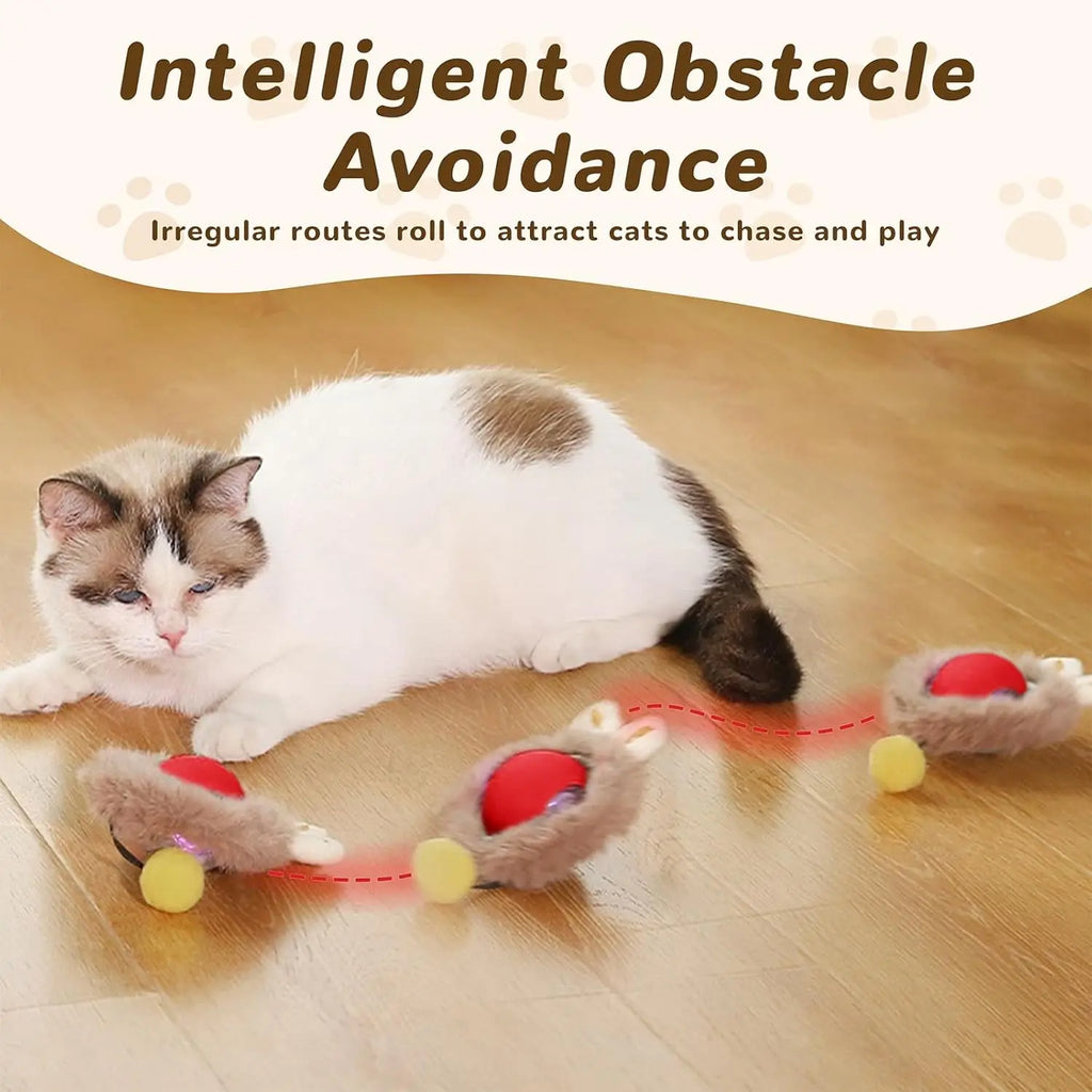 Cat Interactive ball Toy, Automatic Rolling Ball with Tail, Rechargeable Smart Pet Interactive Toy, Intelligent toy for Cat