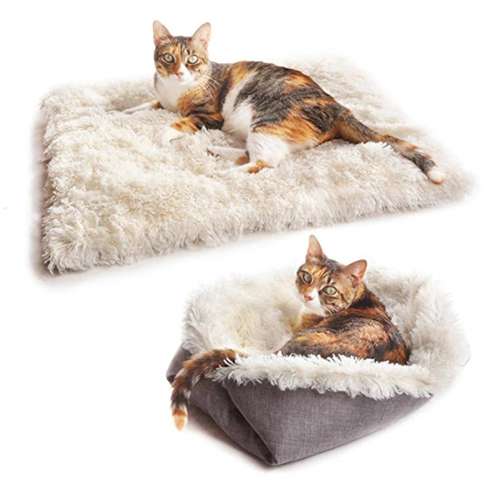 Bed for Cats Pet Products Cushions Kitten Goods Accessories Dog All Houses Supplies Things Accessory Habitats Basket House Beds