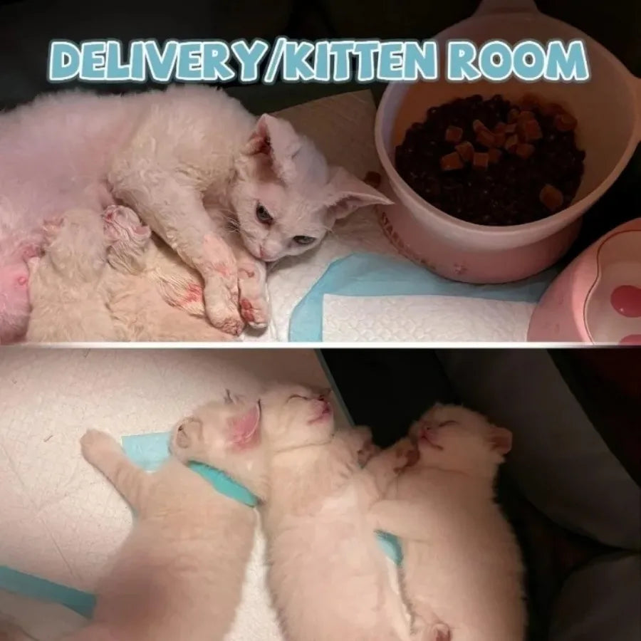 1PCPortable Foldable Pet Tent - Octagonal Fence Design, Suitable for Puppies & Cats, Easy-to-Use Outdoor Shelter