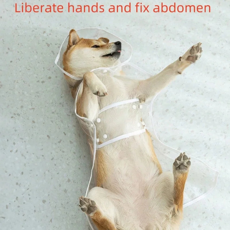 1pc waterproof and windproof pet clothing for dogs, transparent pet dog raincoat, small waterproof and windproof pet clothing