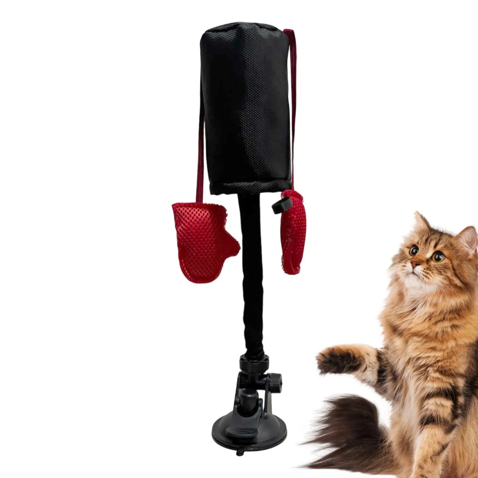 Cat Punching Bag Toy Interactive Kitten Play Toy with Suction Cup Pet Teasing Interactive Play Activity Fun Kitten Teaser  Toy