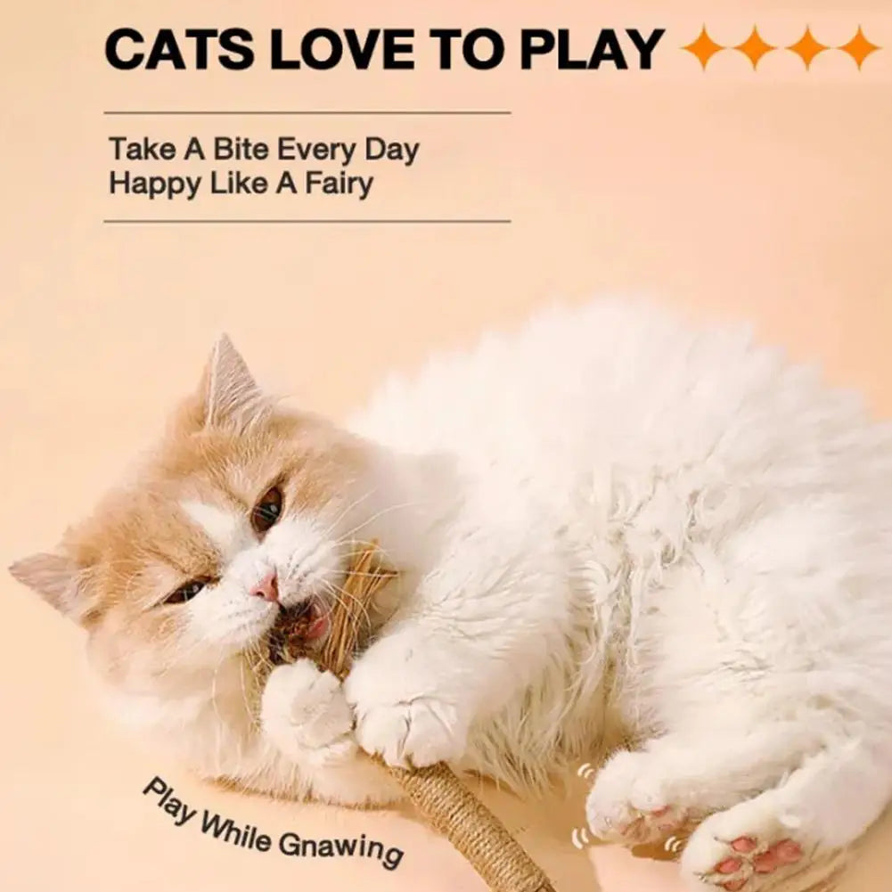 Cat Toys Cleaning Teeth Silvervine Chew Stick Pet Snacks Sticks Natural Stuff with Catnip for Kitten Catnip Teasing Chew Toys