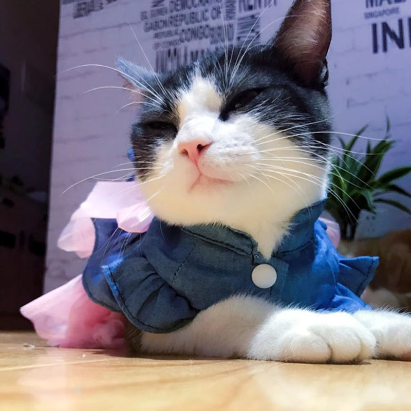 Denim Sphynx Cat Dress Skirt Summer Girl Female Pet Clothes for Cats Gotas Kitten Garfield Dresses mascotas Costume Dog Clothing