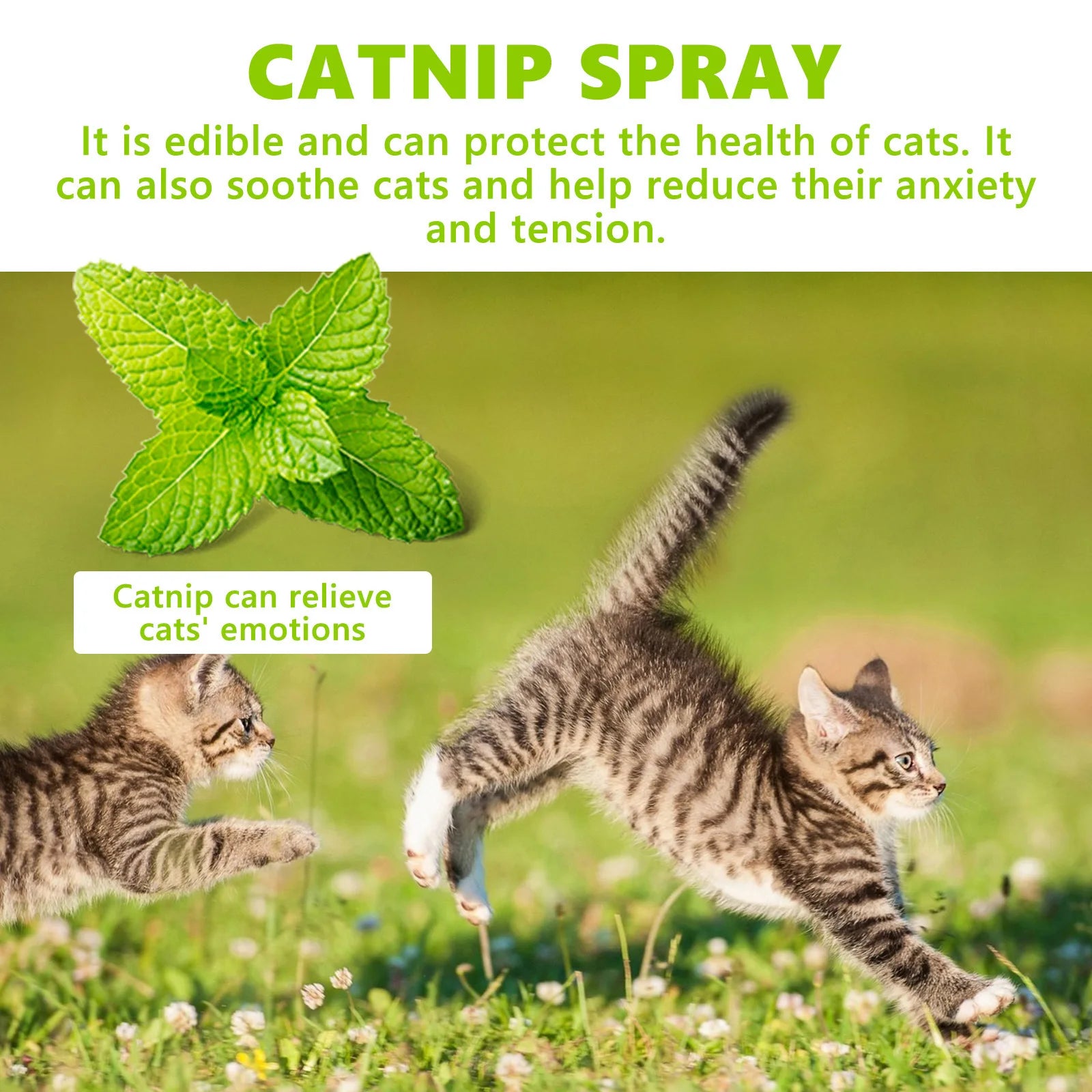 Catnip Spray for Cats with Pet Mint Mist Healthy Ingredients Scratching Pad Inducer Excite Entertain Soothing Training Repellent
