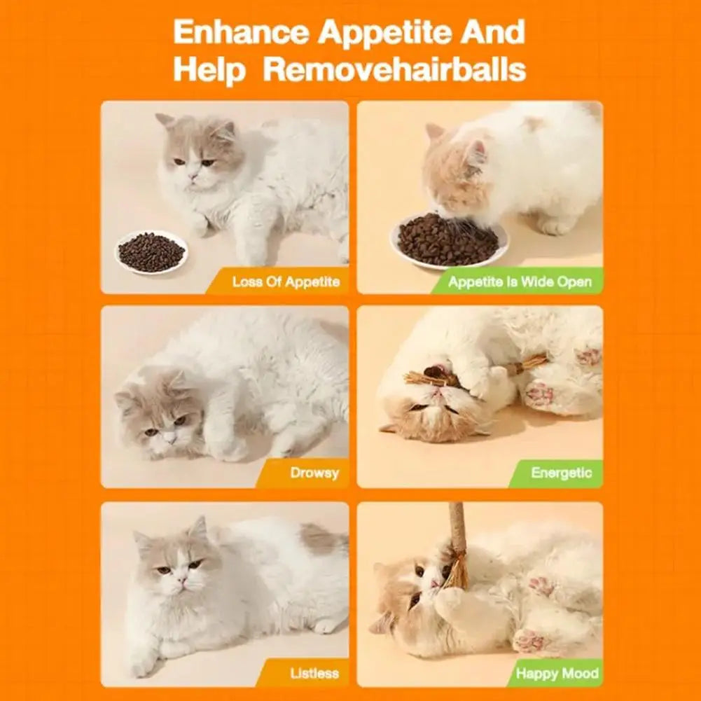 Cat Toys Cleaning Teeth Silvervine Chew Stick Pet Snacks Sticks Natural Stuff with Catnip for Kitten Catnip Teasing Chew Toys