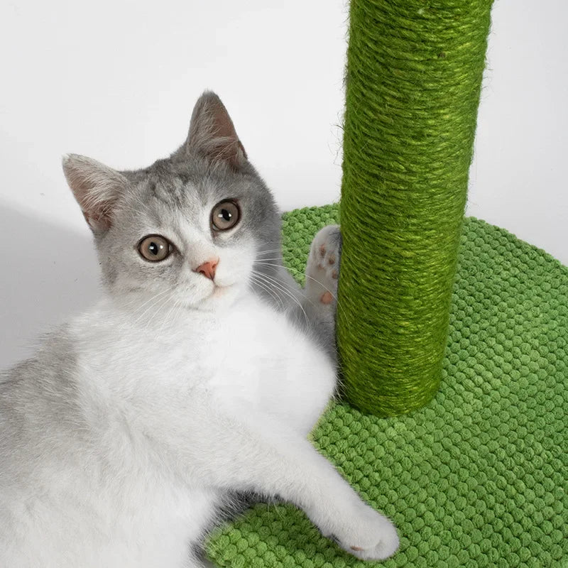 Cactus Cat Scratching Posts Sisal Rope Cat Scratcher Cactus for Young and Adult Cats Interactive Toy Play for Grinding Claws