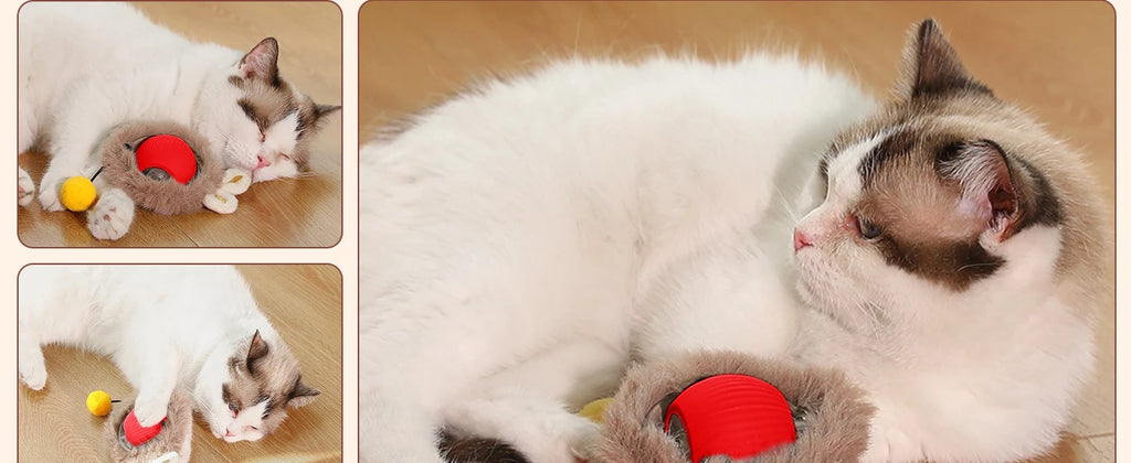 Cat Interactive ball Toy, Automatic Rolling Ball with Tail, Rechargeable Smart Pet Interactive Toy, Intelligent toy for Cat