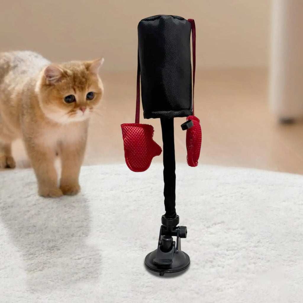 Cat Punching Bag Toy Interactive Kitten Play Toy with Suction Cup Pet Teasing Interactive Play Activity Fun Kitten Teaser  Toy