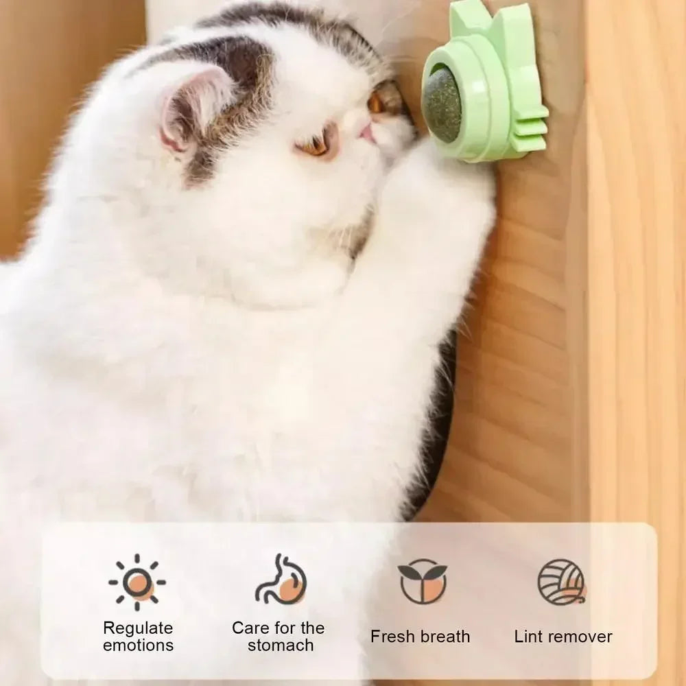 Catnip Balls Funny Lickable Dental Chew Toys for Kittens Interactive Teeth Cleaning Small Medium Cats Multi Color Pet Supplies