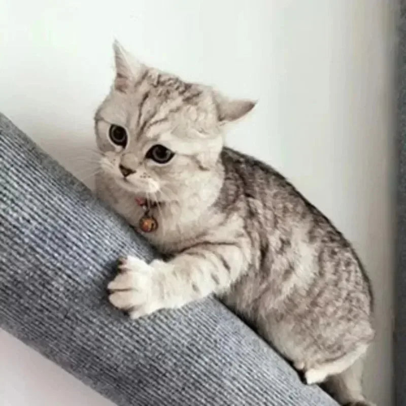 Cat Scratch Board Cat Scratching Stick Wall Mounted Portable Selfadhesive Kitten Toy Climbing Frame Wear Resistant Pet Furniture