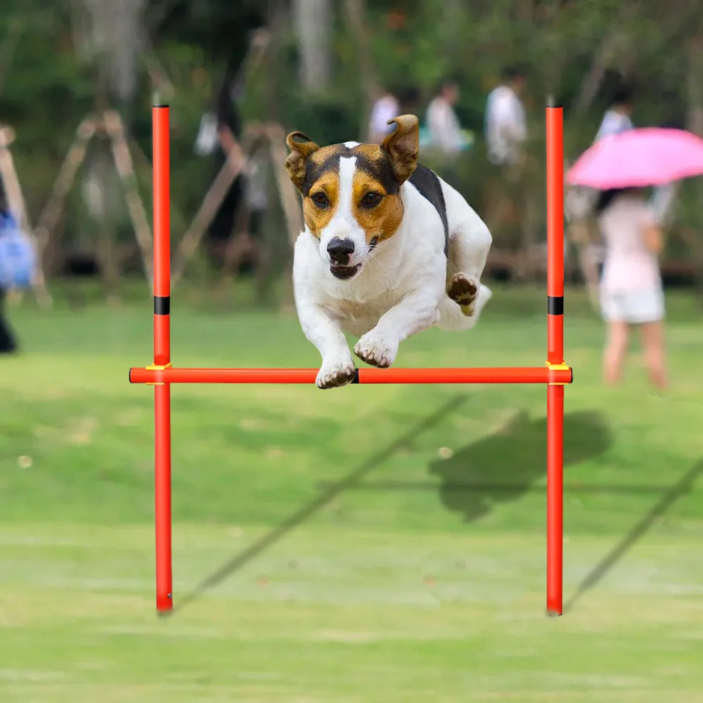 Dog Agility Equipment Portable Pet Training Equipments Dogs Jumping Training Tool Outdoor Dogs Running Stake Sports Stakes Pole