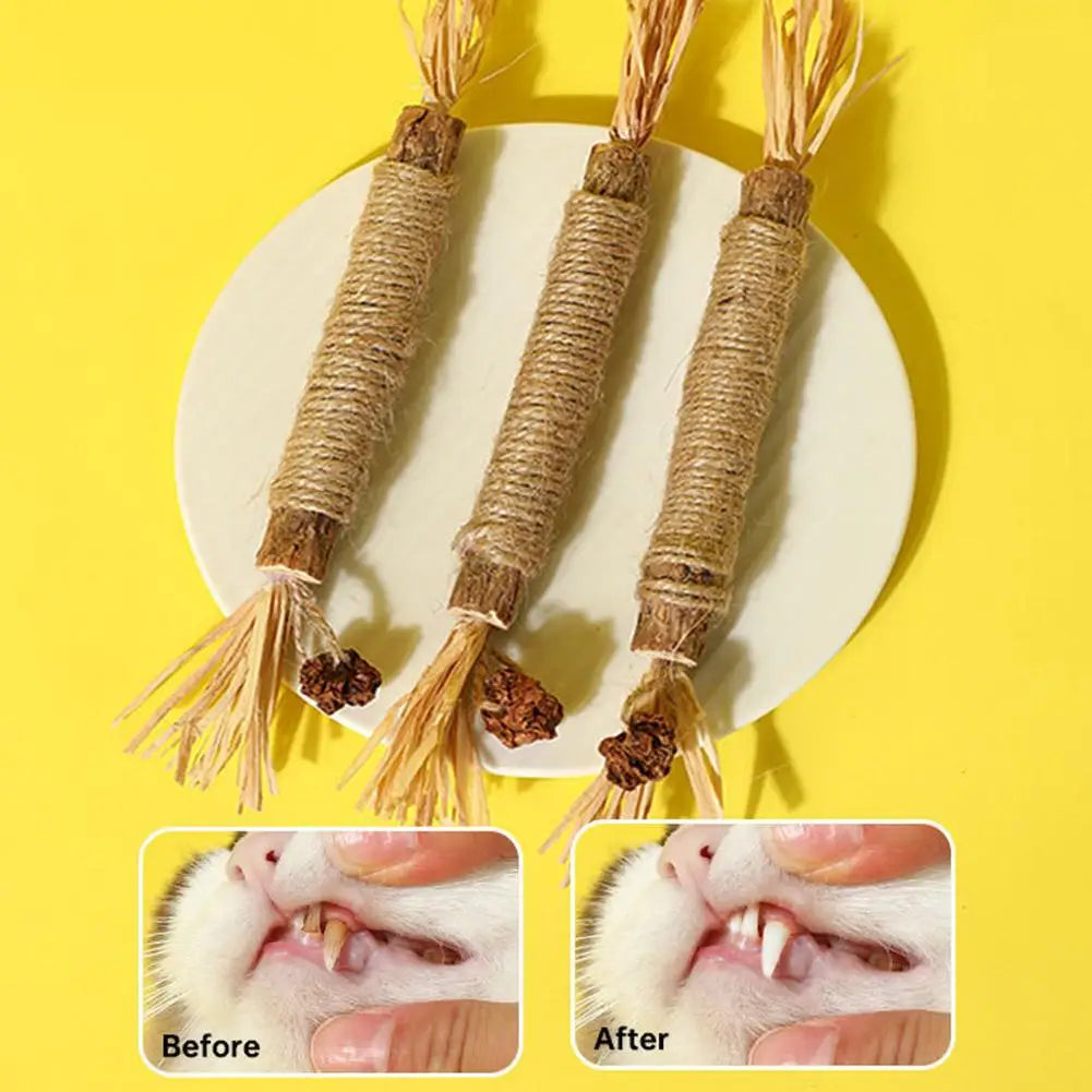 Cat Toys Cleaning Teeth Silvervine Chew Stick Pet Snacks Sticks Natural Stuff with Catnip for Kitten Catnip Teasing Chew Toys